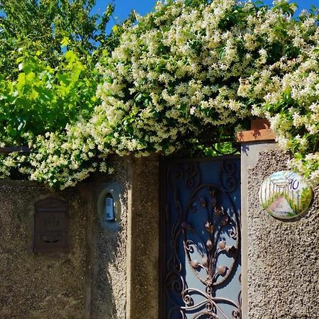 La Primavera Anacapri  Eksteriør billede